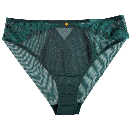 Sculptresse Josephine High Leg Brief