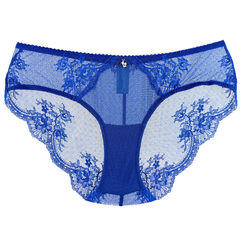 Amour d'Agnette Stretch Lace & Mesh Cheeky