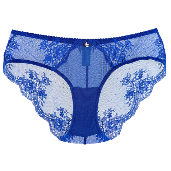 Amour d'Agnette Stretch Lace & Mesh Cheeky