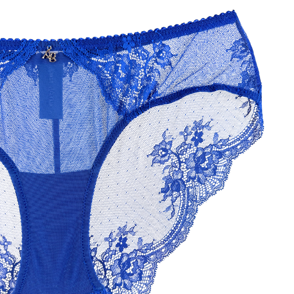 Amour d'Agnette Stretch Lace & Mesh Cheeky