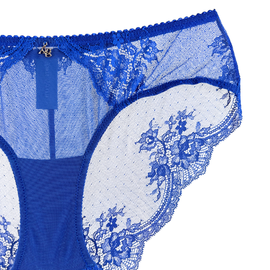 Amour d'Agnette Stretch Lace & Mesh Cheeky