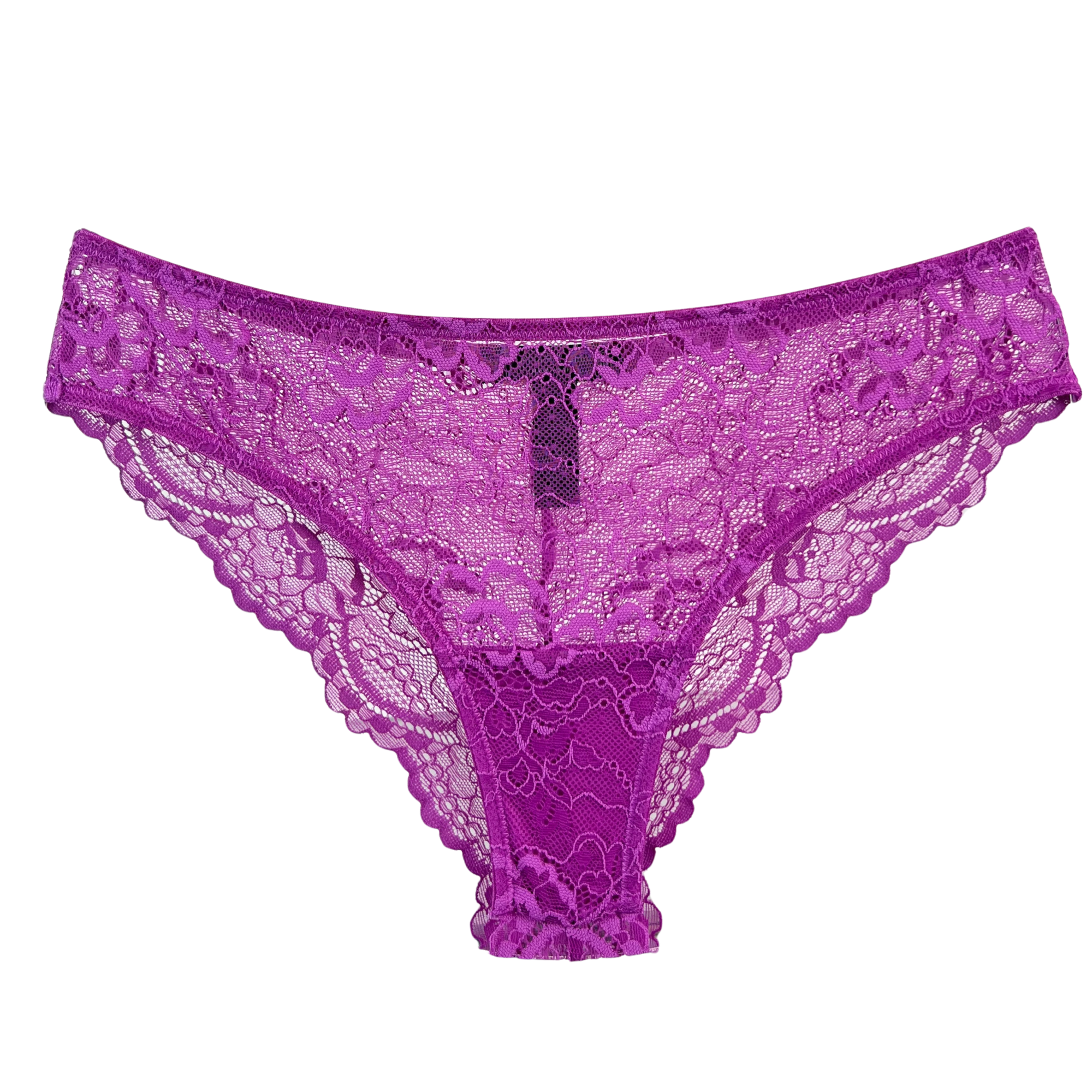 Samantha Chang All Lace Classic Brief