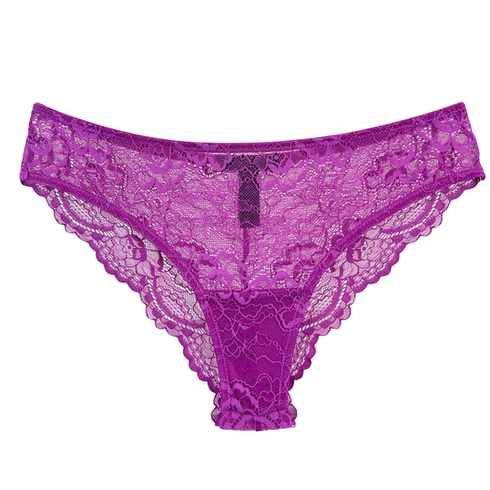 Samantha Chang All Lace Classic Brief