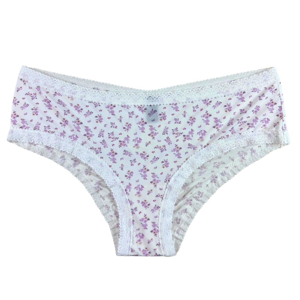 Blush Micro Lace Trim Hipster