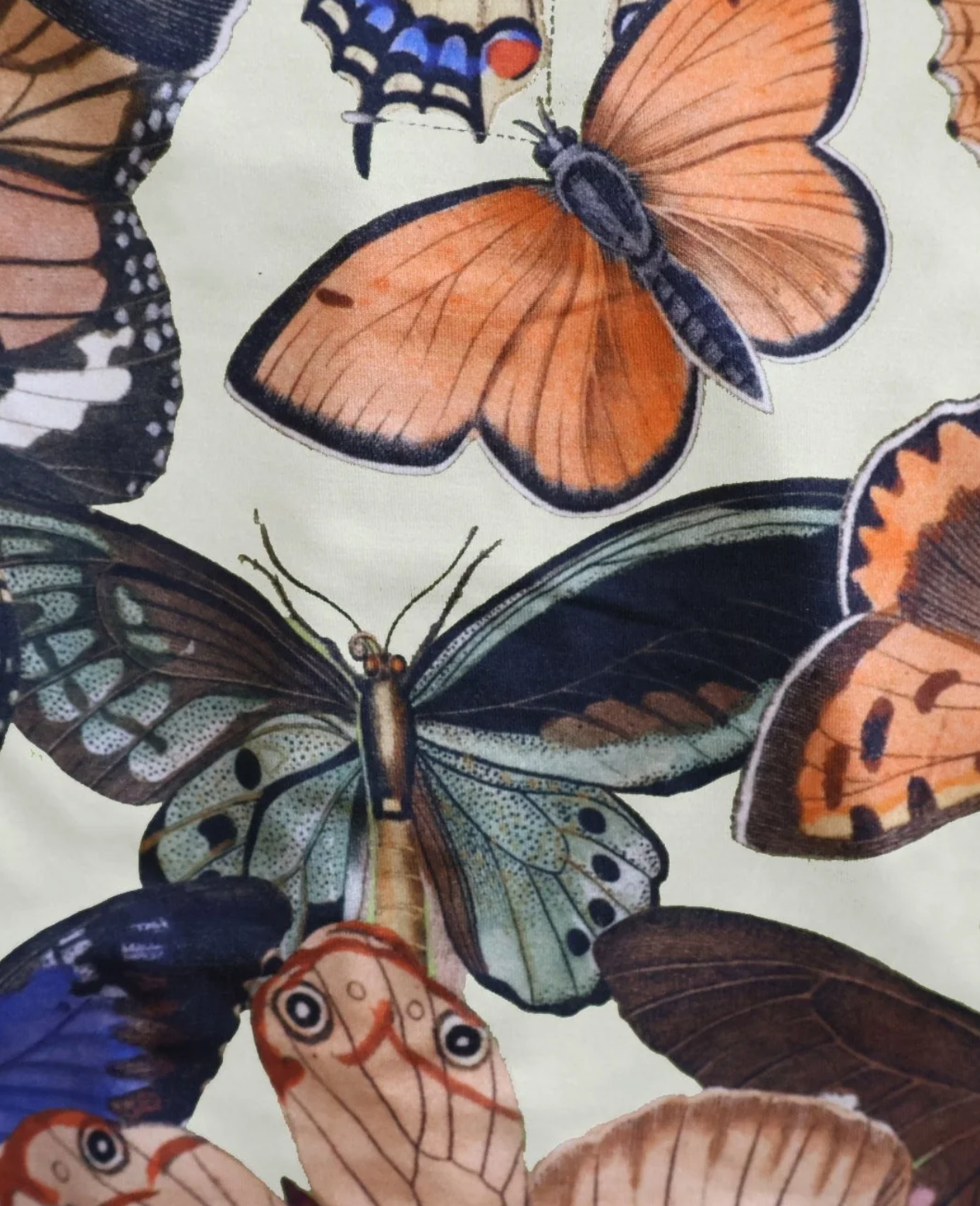Load image into Gallery viewer, Kilo Brava Moths &amp;amp; Butterflies Scoop Bralette - Moths and Butterflies
