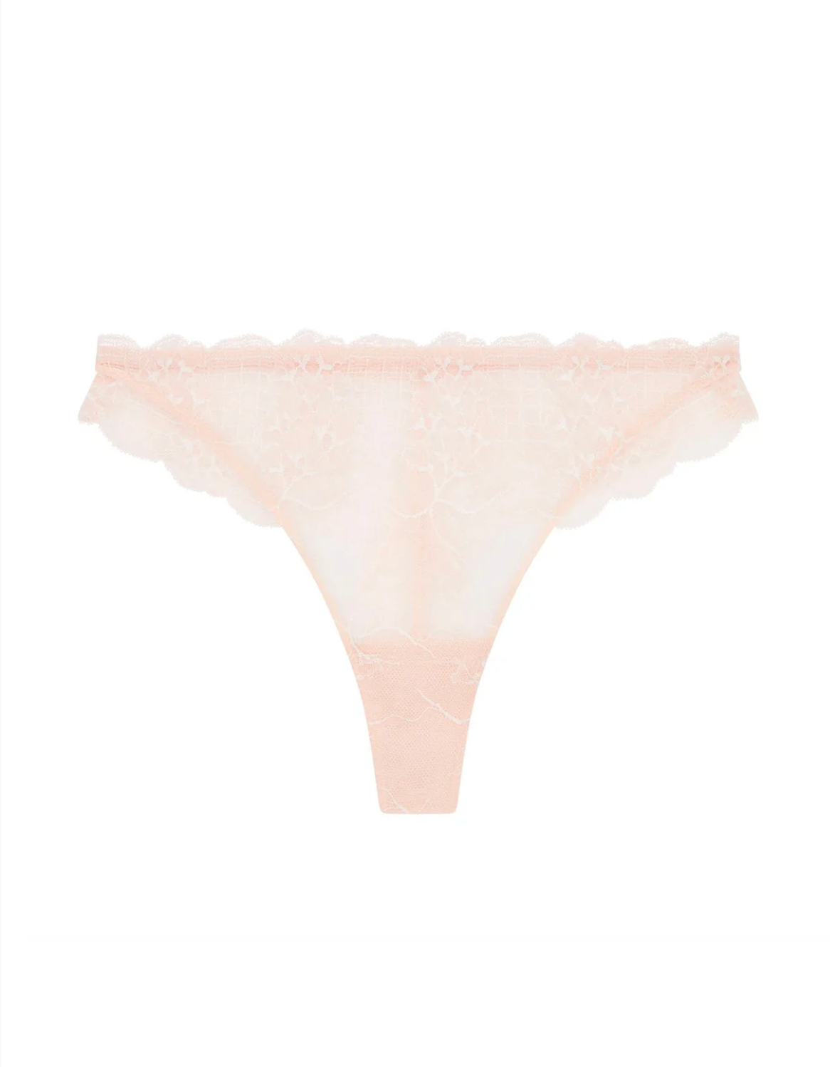 color: Rose Sakura