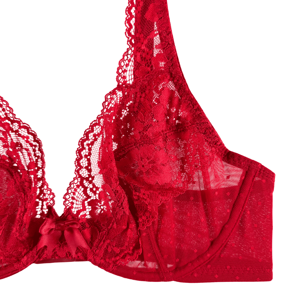 Panache heidi plunge bra in ruby red, detailed close-up on white background.